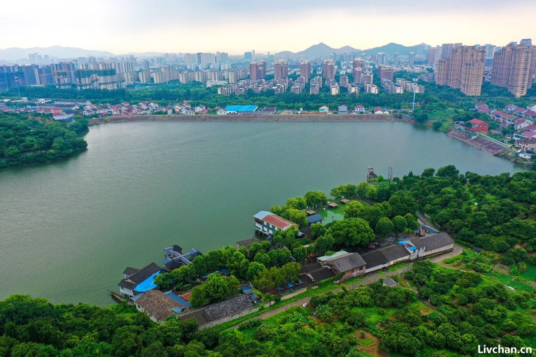 王阳明: 知进退, 人生最难的修行