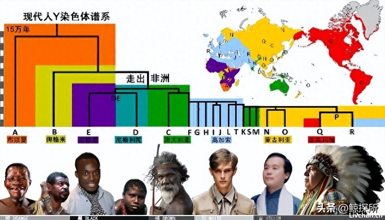 人类没有生殖隔离吗？为何黄种人、黑种人和白种人，能自由交配？