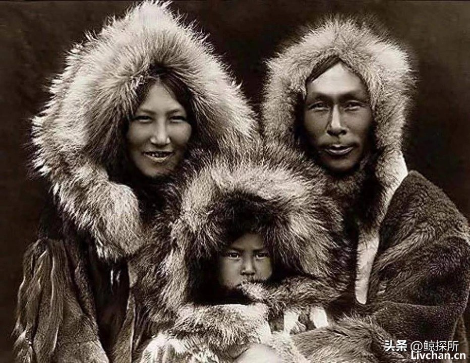 人类没有生殖隔离吗？为何黄种人、黑种人和白种人，能自由交配？