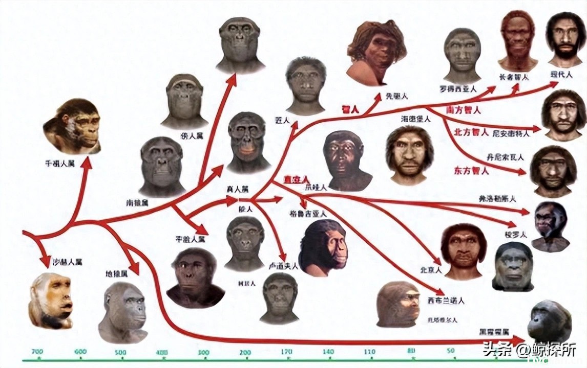 人类没有生殖隔离吗？为何黄种人、黑种人和白种人，能自由交配？