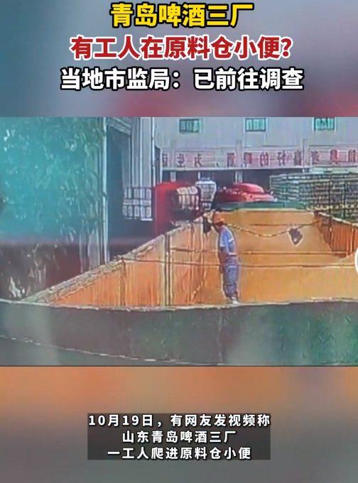 网事如风-2023年10月网事月报