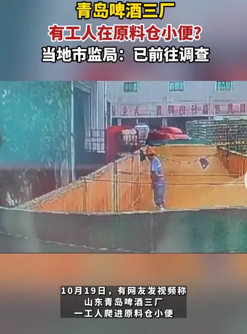 网事如风-2023年10月网事月报