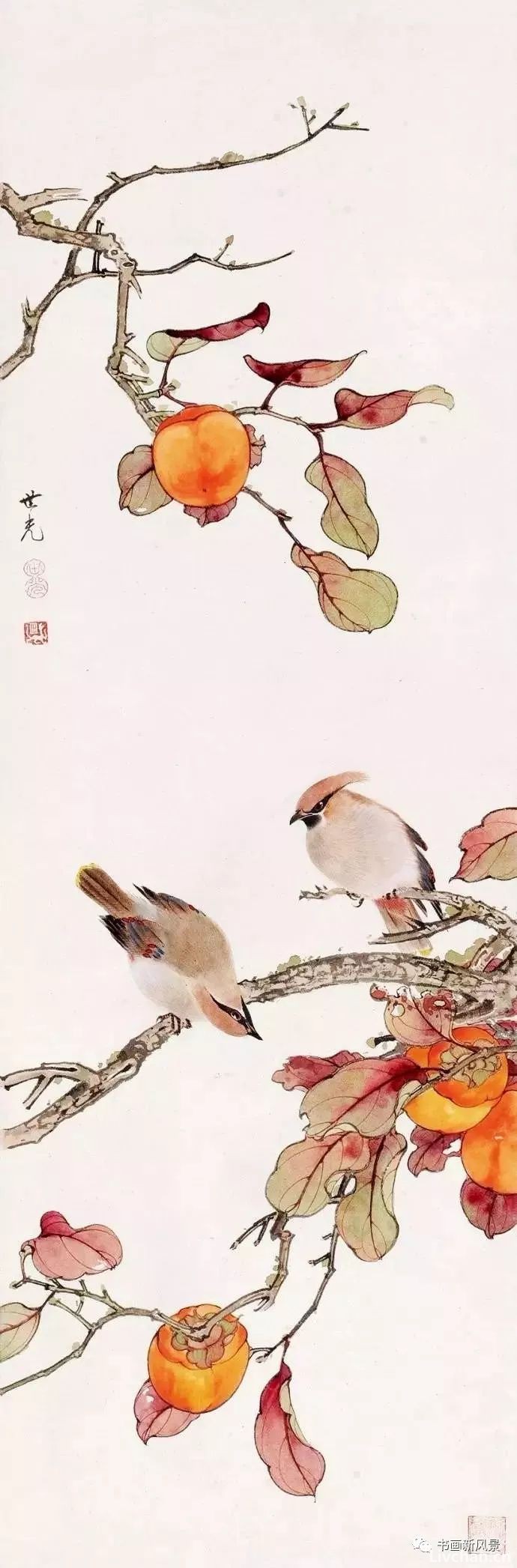 今日霜降，送您36幅柿柿如意图！
