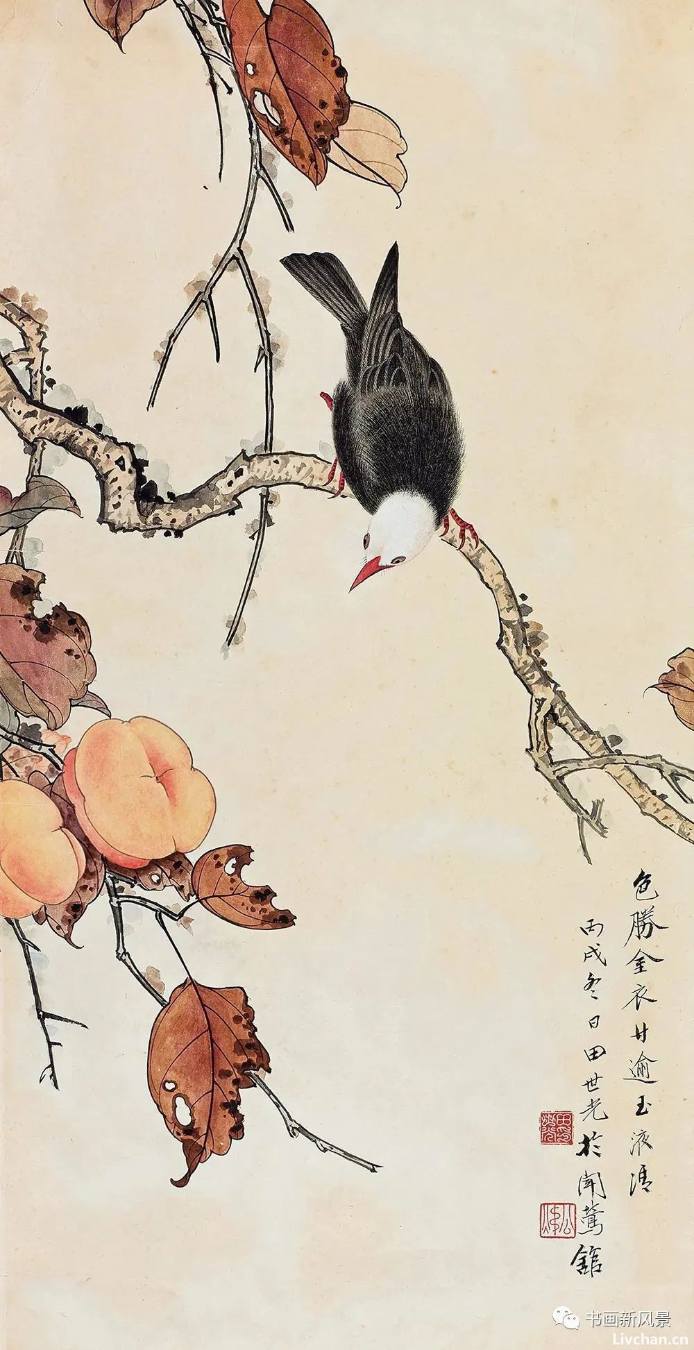 今日霜降，送您36幅柿柿如意图！