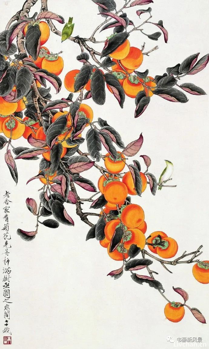 今日霜降，送您36幅柿柿如意图！