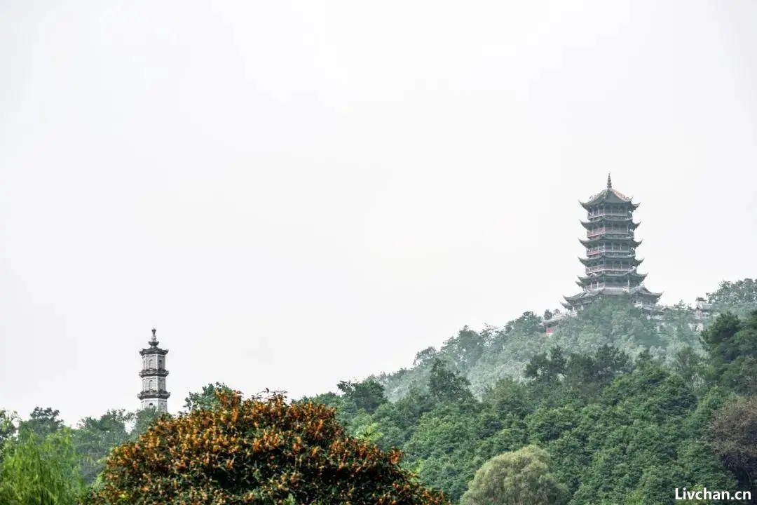 必读唐诗28首，每首都是巅峰之作
