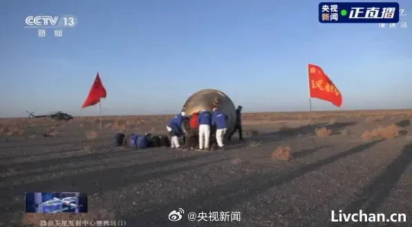 我不提您就忘了-2023年10月网事月报