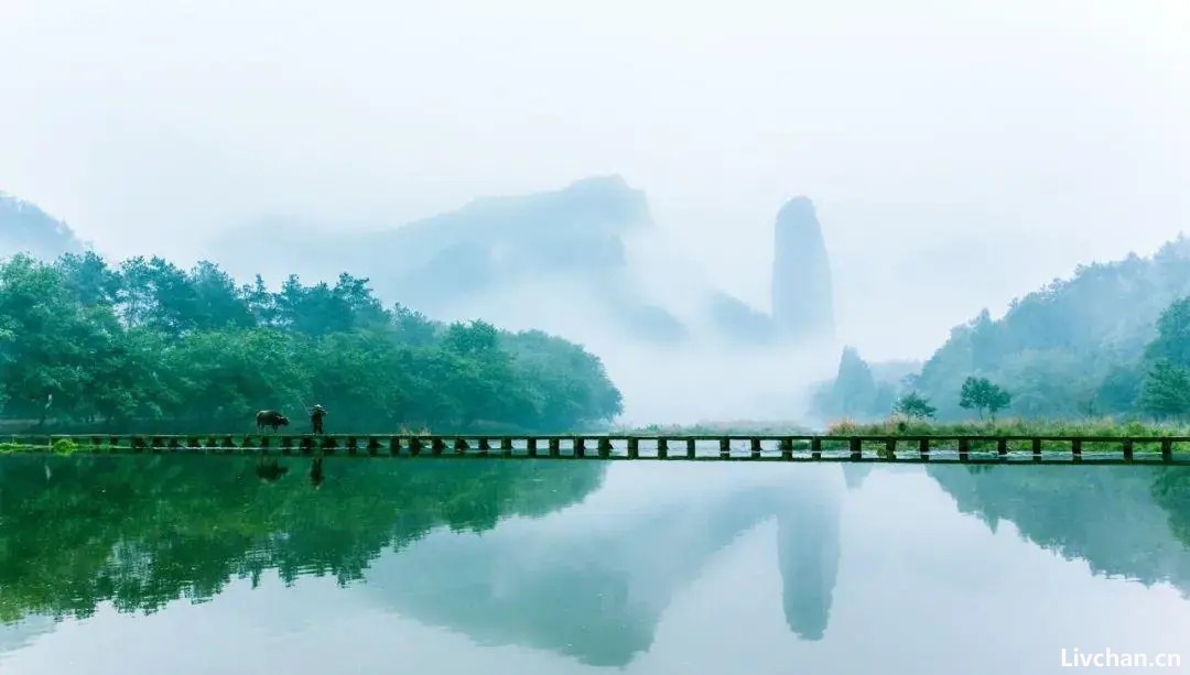 王安石最经典的10首诗词，全是千古名作，绝对值得一读