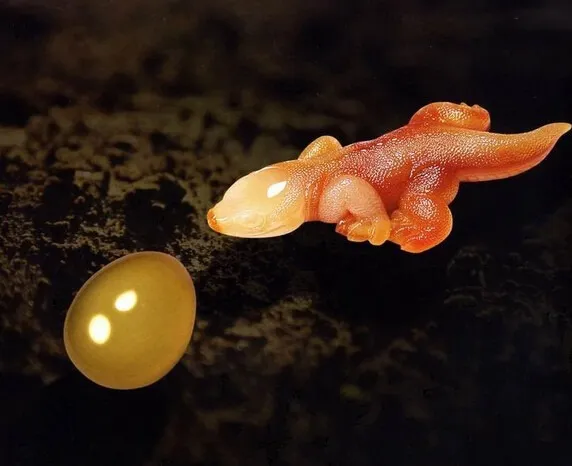 几款精美的玉雕作品欣赏,堪称世间极品