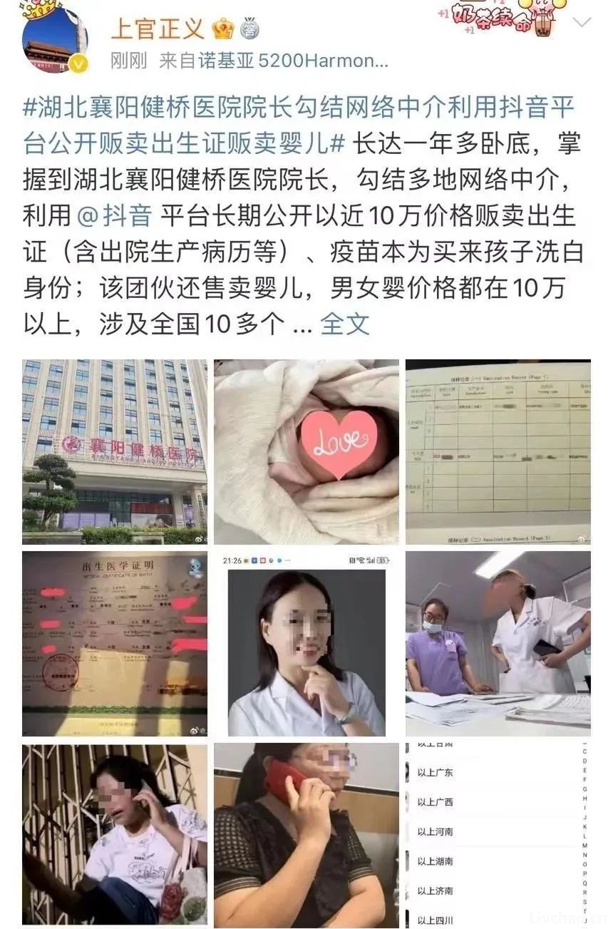 成立多警种专案组！公安已介入，叶有芝和她背后的“保护伞”该现形了
