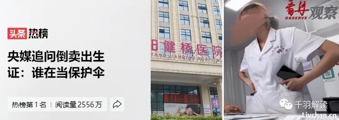 成立多警种专案组！公安已介入，叶有芝和她背后的“保护伞”该现形了