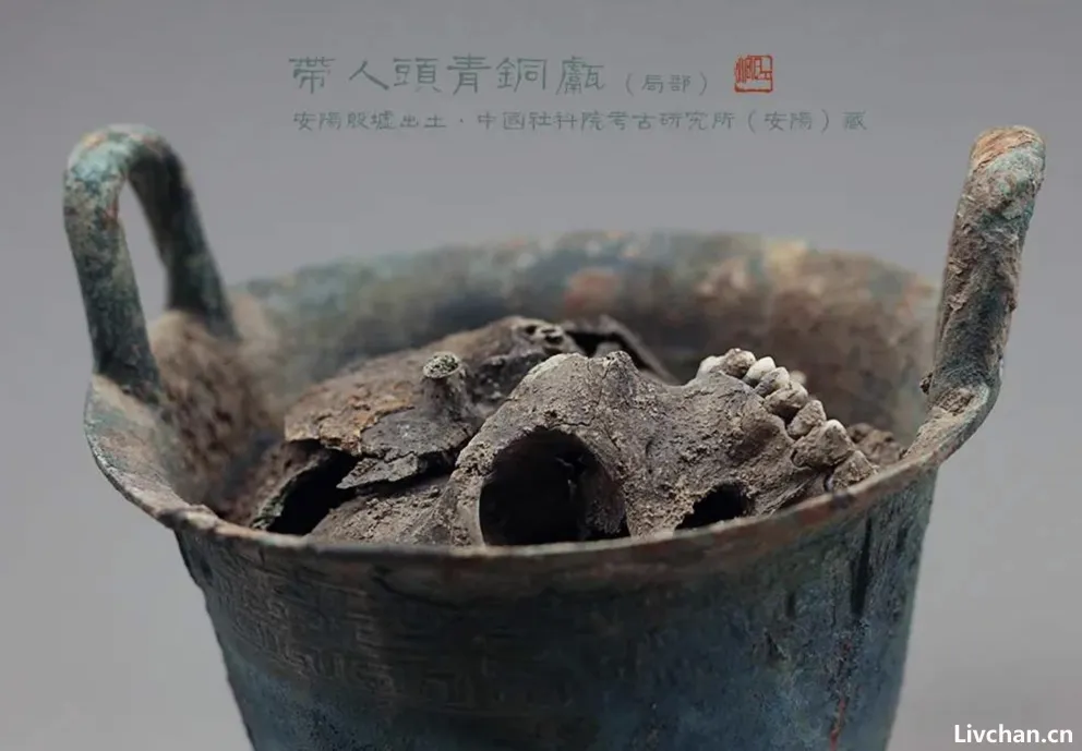 同学，你学的历史可能是错的…
