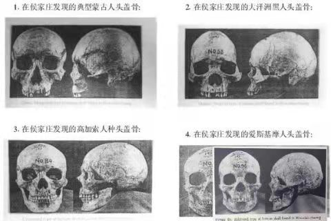同学，你学的历史可能是错的…