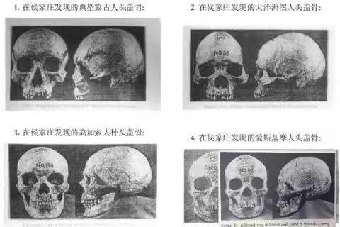 同学，你学的历史可能是错的…