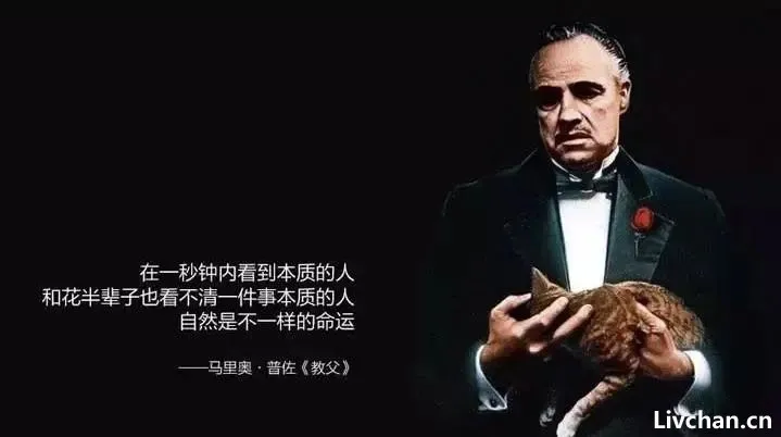 《毛选》:一眼看清本质就是通透,可惜很多同志都读不进去(深度长文,慎入)