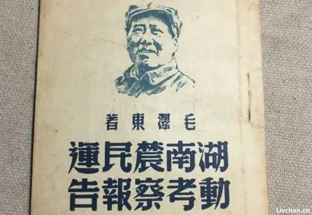《毛选》：一眼看清本质就是通透，可惜很多同志都读不进去（深度长文，慎入）