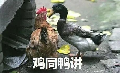 《毛选》：一眼看清本质就是通透，可惜很多同志都读不进去（深度长文，慎入）
