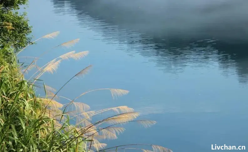 真正的厉害:说软话,办狠事,离开群