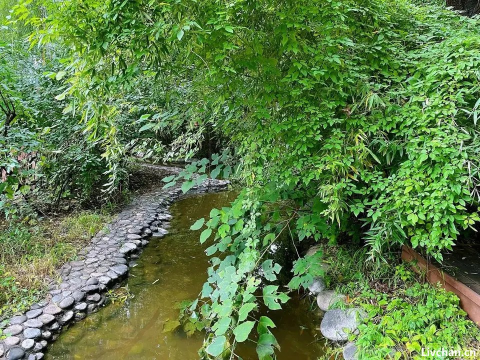 去清华北大教授居住的小区里逛了逛，读懂什么叫“文明素质的天花板”