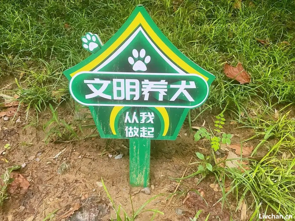 去清华北大教授居住的小区里逛了逛，读懂什么叫“文明素质的天花板”