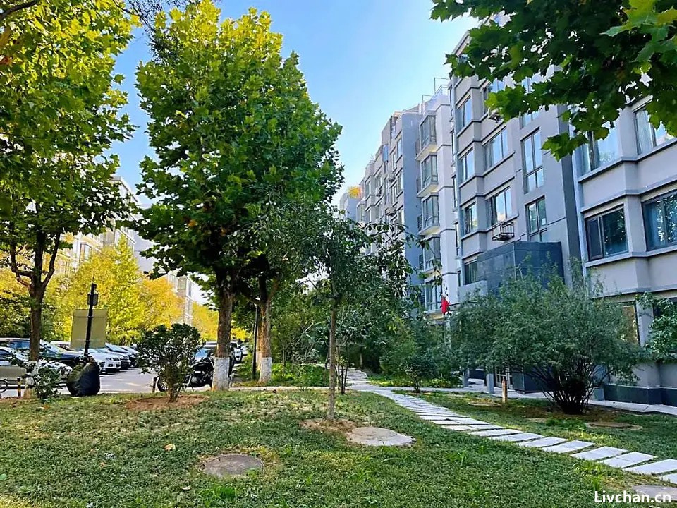 去清华北大教授居住的小区里逛了逛，读懂什么叫“文明素质的天花板”
