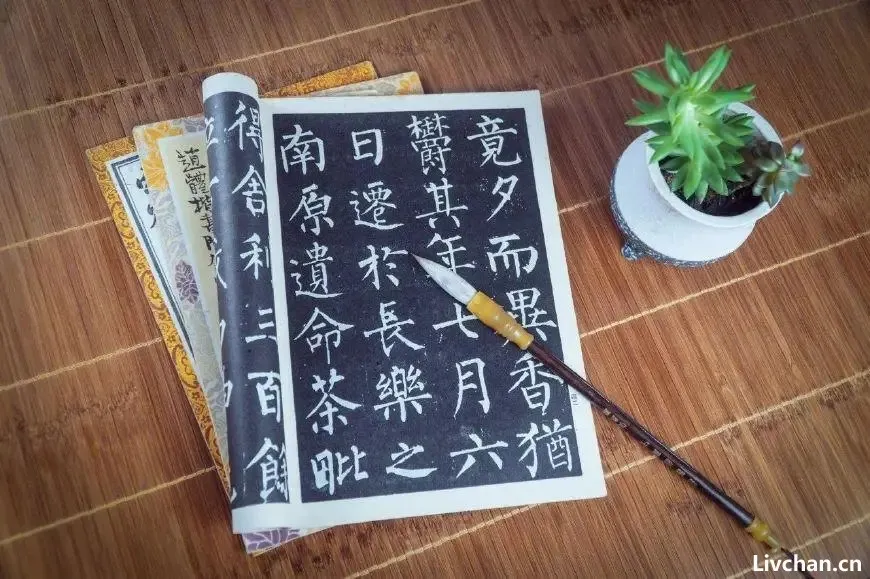 自洽,只生欢喜不生愁