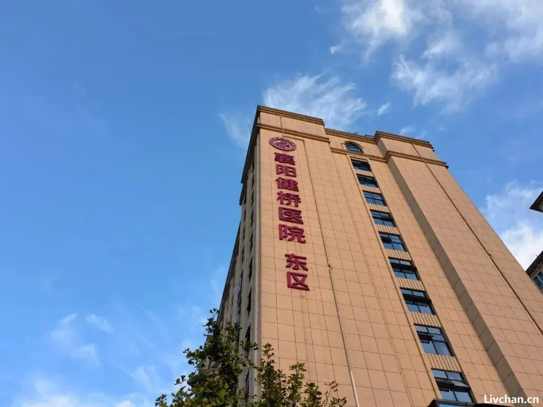 上官正义：一个卧底，和上百个被拐的孩子
