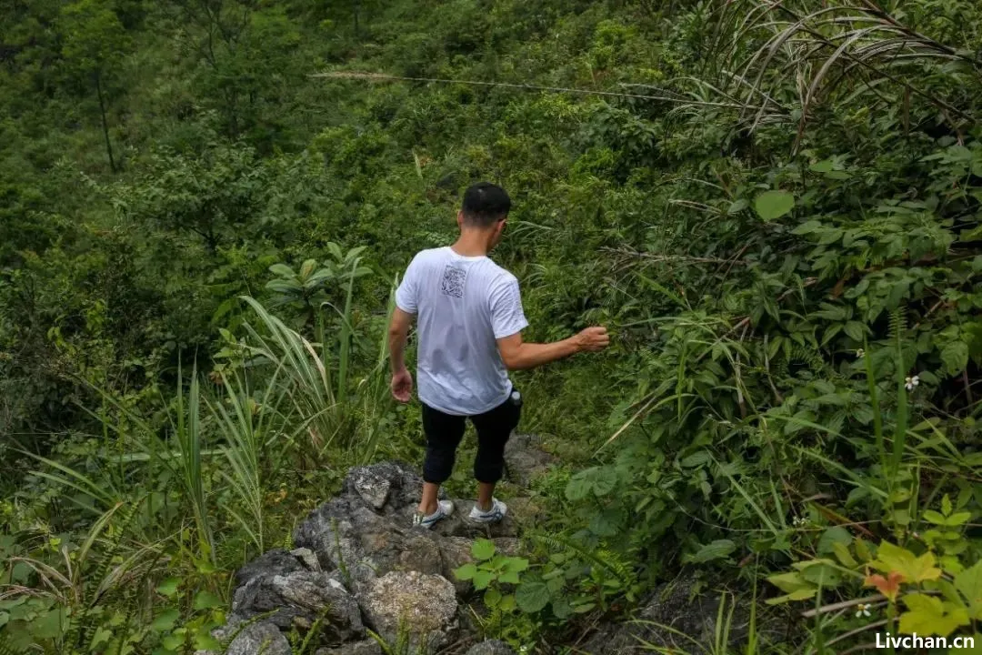 上官正义：一个卧底，和上百个被拐的孩子