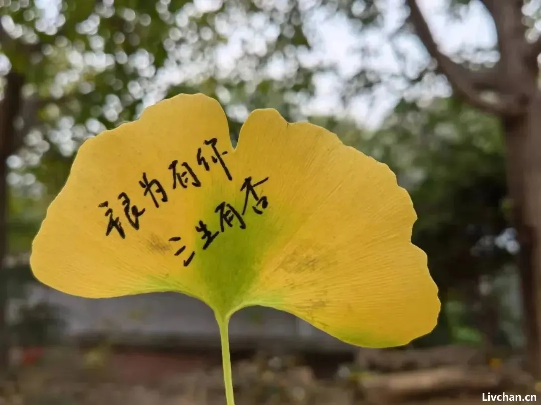 打拐义士上官正义:一个卧底,和上百个被拐的孩子