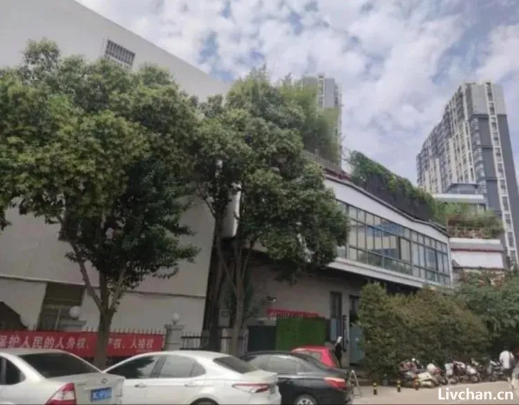 洛阳宋氏四兄弟涉黑案:警界“败类”公然充当保护伞,垄断地下文物市场