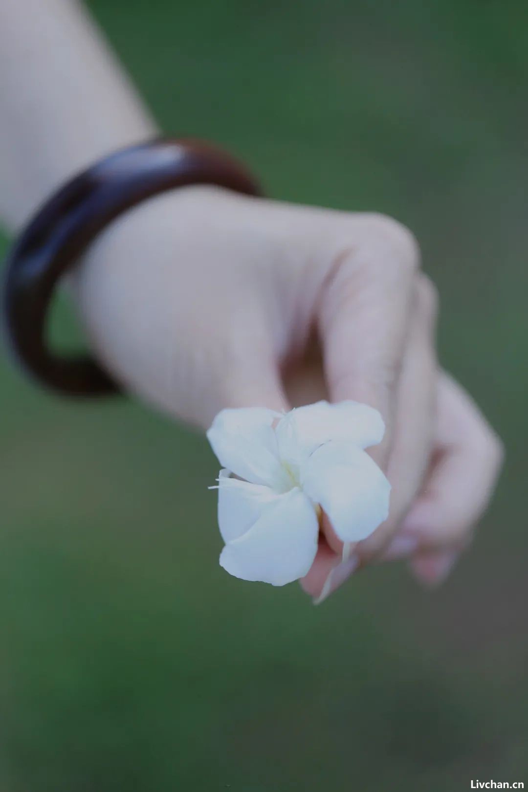 一个人最了不起的能力：深度沉浸