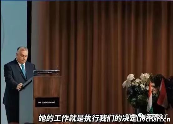 我不提您就忘了-2023年11月网事月报