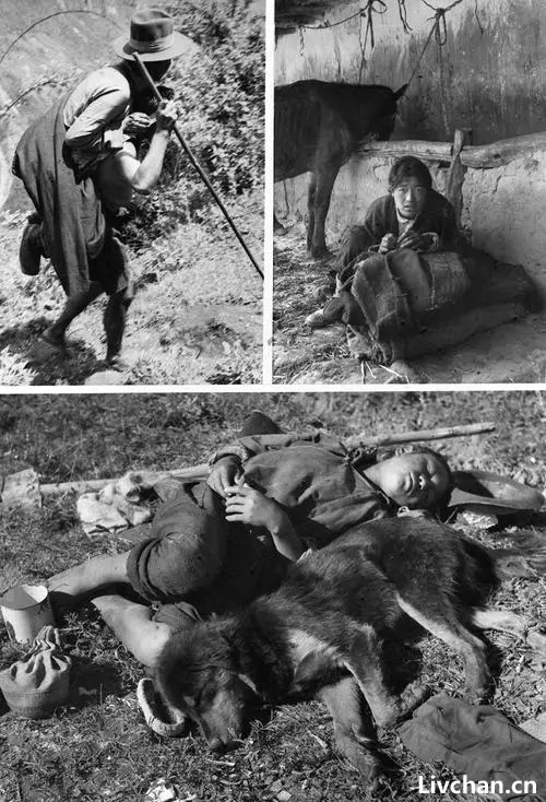 文韬武略——毛泽东与1959年平息西藏叛乱