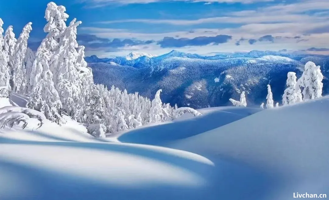 大雪:王维的这首《冬晚对雪忆胡居士家》,才叫真正的经典,读一遍就让人沉醉