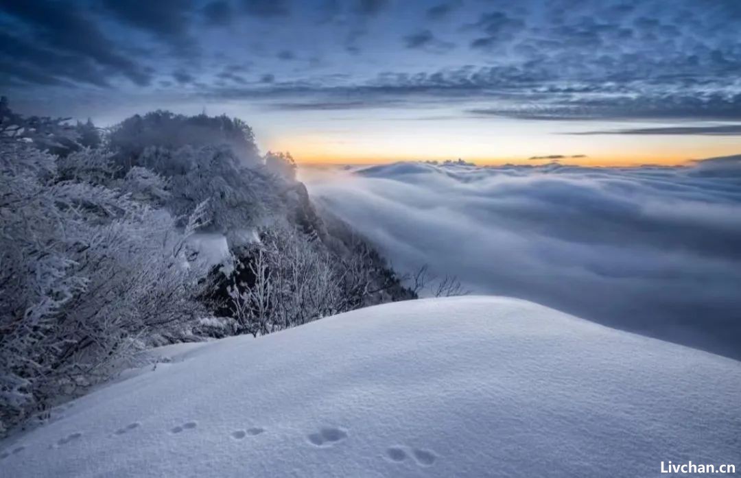 大雪:王维的这首《冬晚对雪忆胡居士家》,才叫真正的经典,读一遍就让人沉醉 大雪:王维的这首《冬晚对雪忆胡居士家》,才叫真正的经典,读一遍就让人沉醉