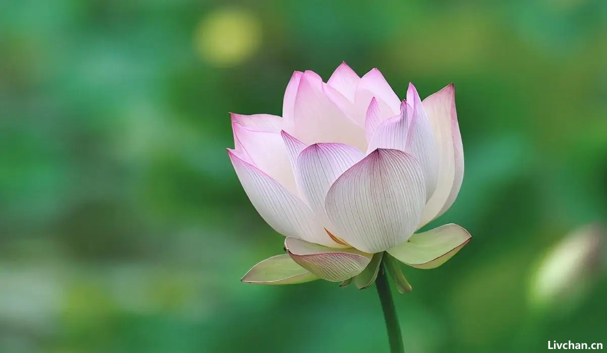 兄弟姐妹关系变坏，多半是从以下几件事开始的