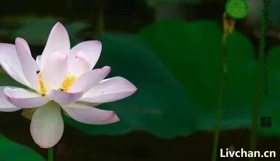 心情不好的时候,就去做这三件事