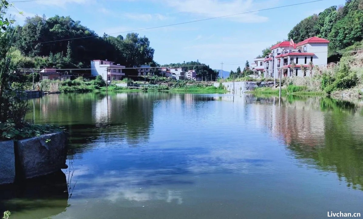 几首乡村田园生活的古诗词，麦花雪白，稻花飘香，唯美中醉了流年