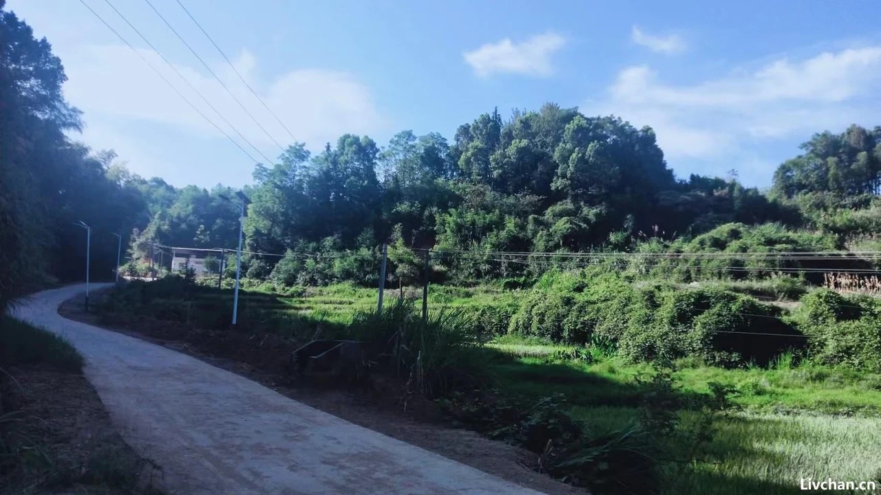 几首乡村田园生活的古诗词，麦花雪白，稻花飘香，唯美中醉了流年