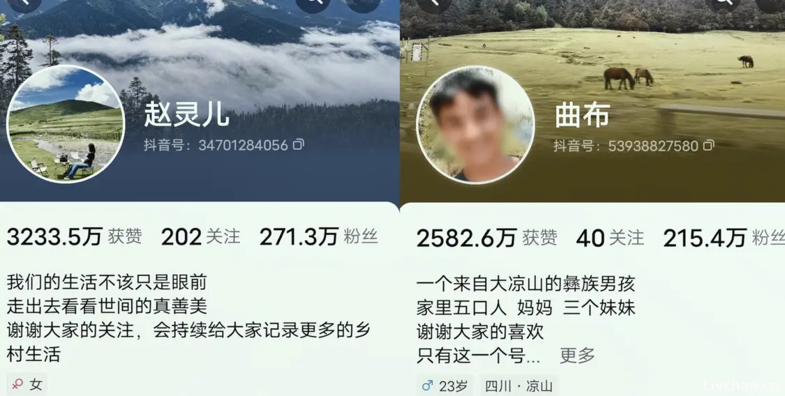 凉山网红乱象案宣判！赵灵儿曲布等多名百万粉丝网红被判刑