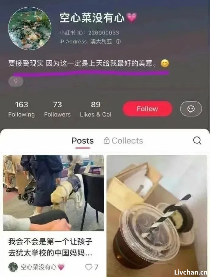 害死朱令的嫌疑人，正在被澳洲华人努力驱逐出境