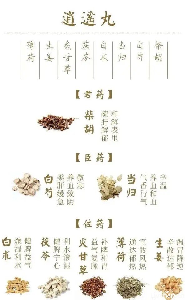 一瓶逍遥丸，可调10种症，男女皆适用！