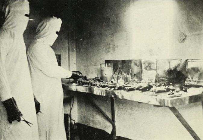 1910年，一种比新冠更厉害的瘟疫曾横扫东北