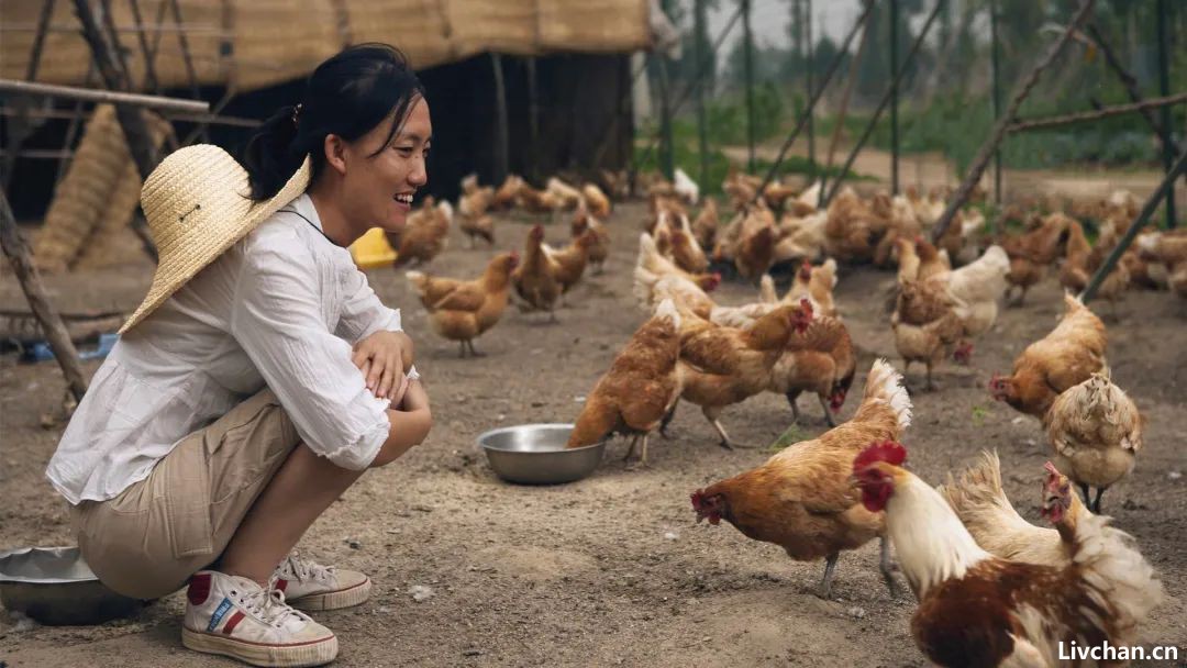 留美清华女博士后，回乡种地