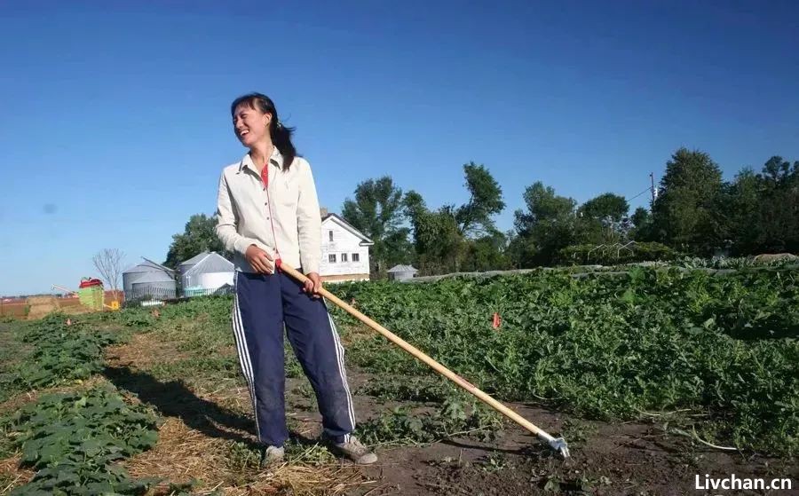 留美清华女博士后，回乡种地