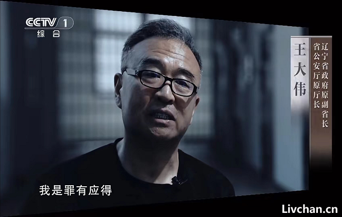 疯狂的“保护伞”！
