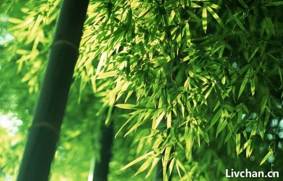 真正厉害的人,多半是“很空”的人 真正厉害的人,多半是“很空”的人
