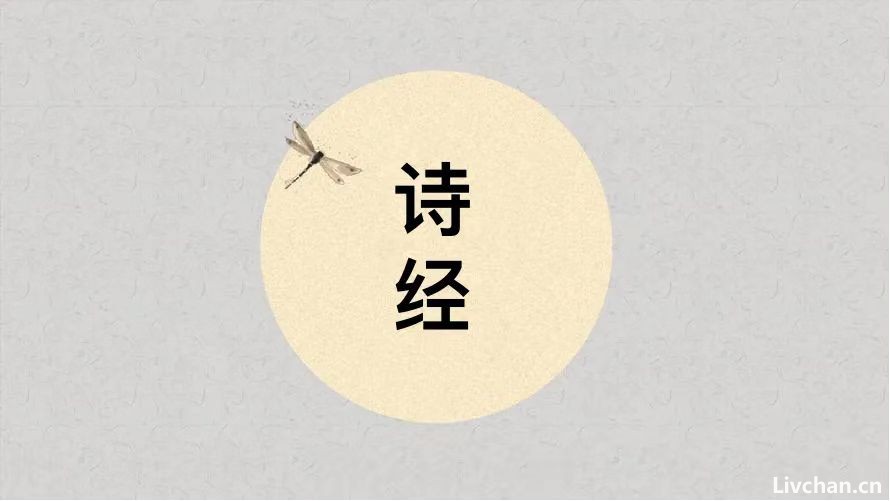 诗经【国风·秦风·蒹葭】全文讲读、注释、翻译和赏析_先秦 诗经【国风·秦风·蒹葭】全文讲读、注释、翻译和赏析_先秦