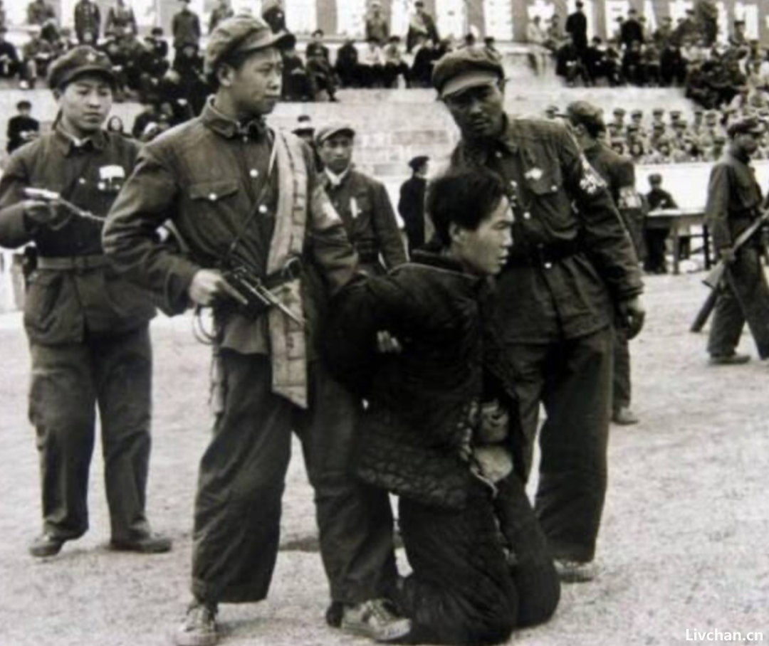镇压反革命（镇反）的历史老照片