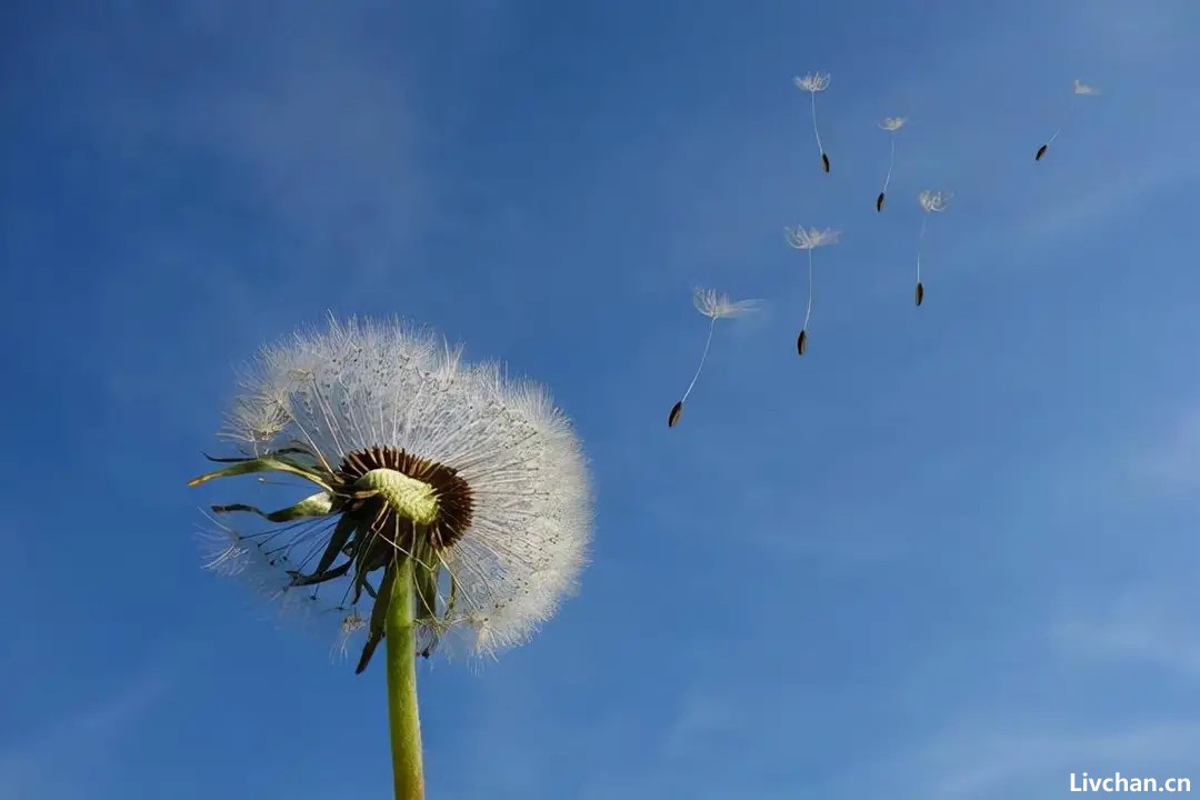 很治愈的一段话，累了就看看